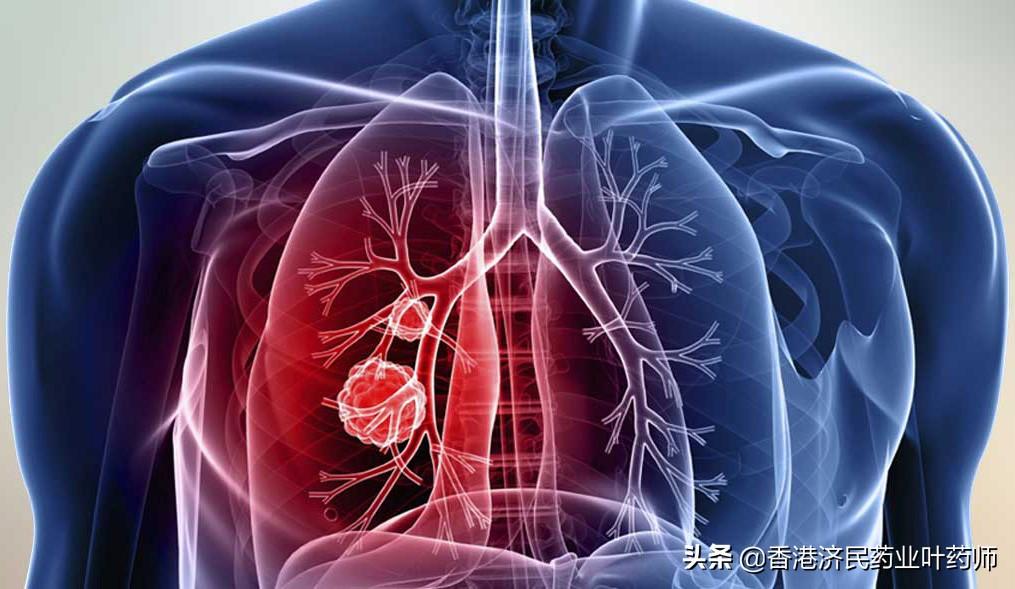 科学研究 第4页